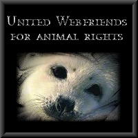 United  Webfriends